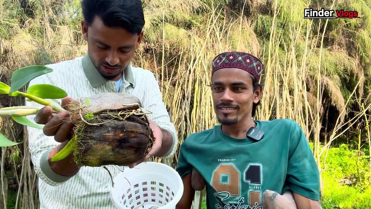 ये 5 पौधे देंगे सालों साल तक परमानेंट | Ar Rehman nursery | #garden 