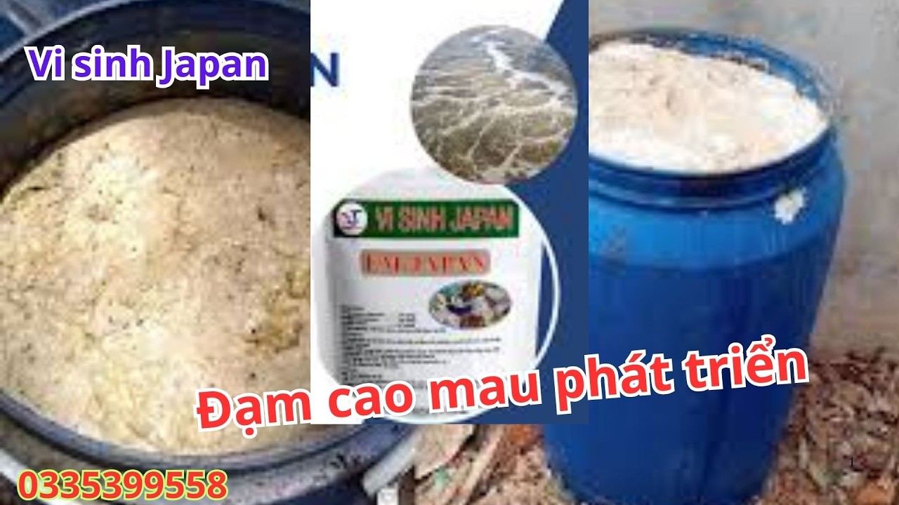 Men vi sinh Japan, Ứng dụng trong trồng trọt chăn nuôi, Hiệu quả trên ả mong đợi