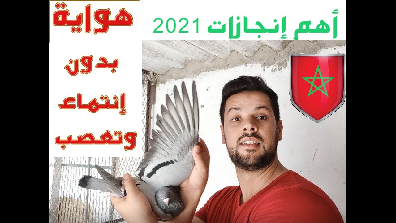الهواية بدون إنتماء وتعصب/موسم 2021 وأهم الإنجازات