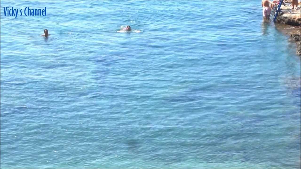 Triliza - Thalassa gine / &Tau;&rho;ί&lambda;&iota;&zeta;&alpha; - &Theta;ά&lambda;&alpha;&sigma;&sigma;&alpha; &gamma;ί&nu;&epsilon;