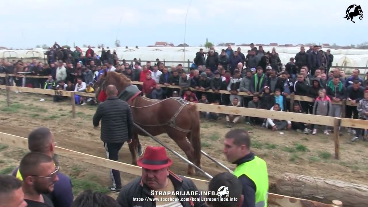 SREDNJA KATEGORIJA - ŠTRAPARIJADA STRUMICA 09.04.2023