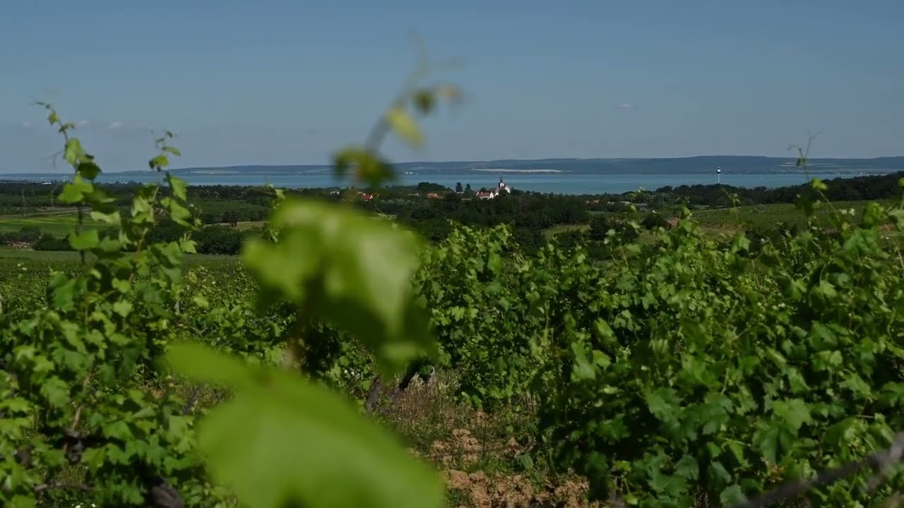 LAKE PELSO- Still waters run deep