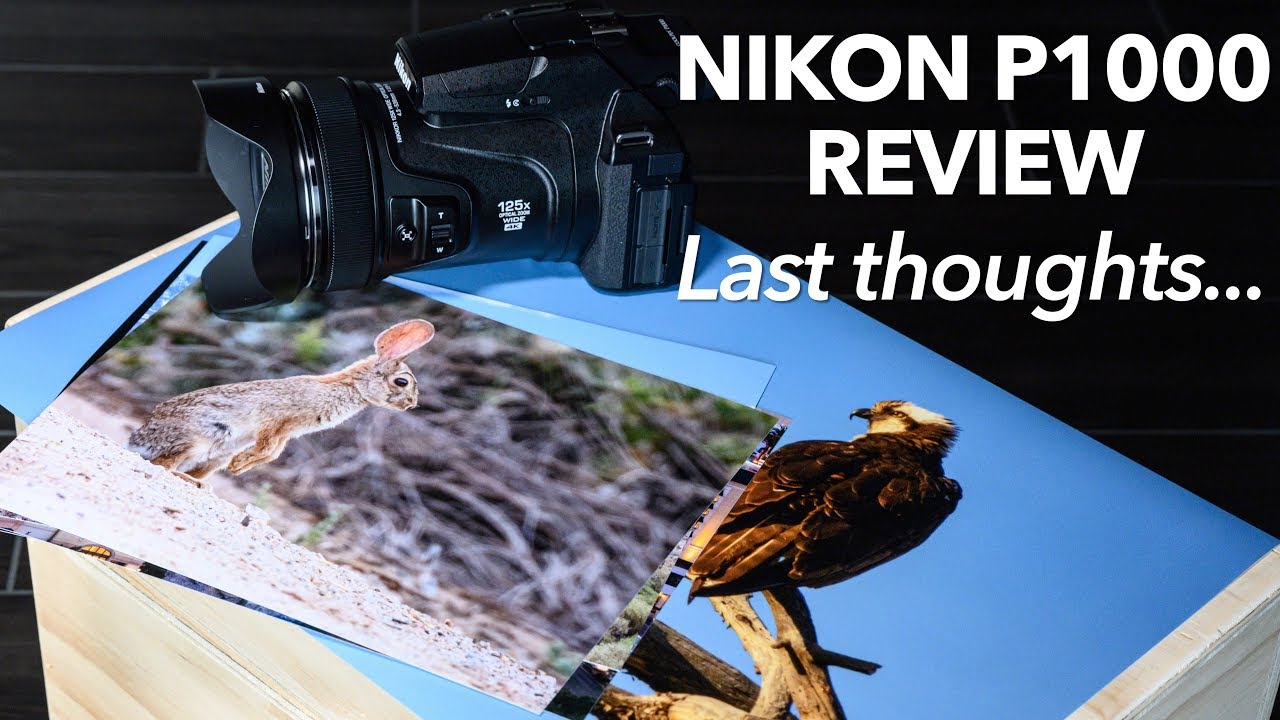 Nikon P1000 Follow Up - Closing Thoughts