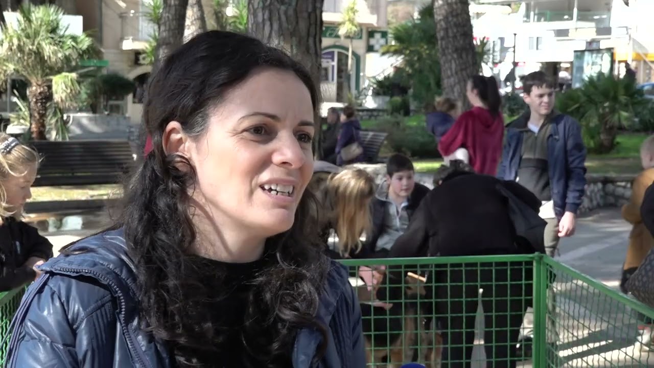 RTHN - Nova akcija preduzeća „Čistoća“ - „Ljubimac nije igračka, nego član porodice“