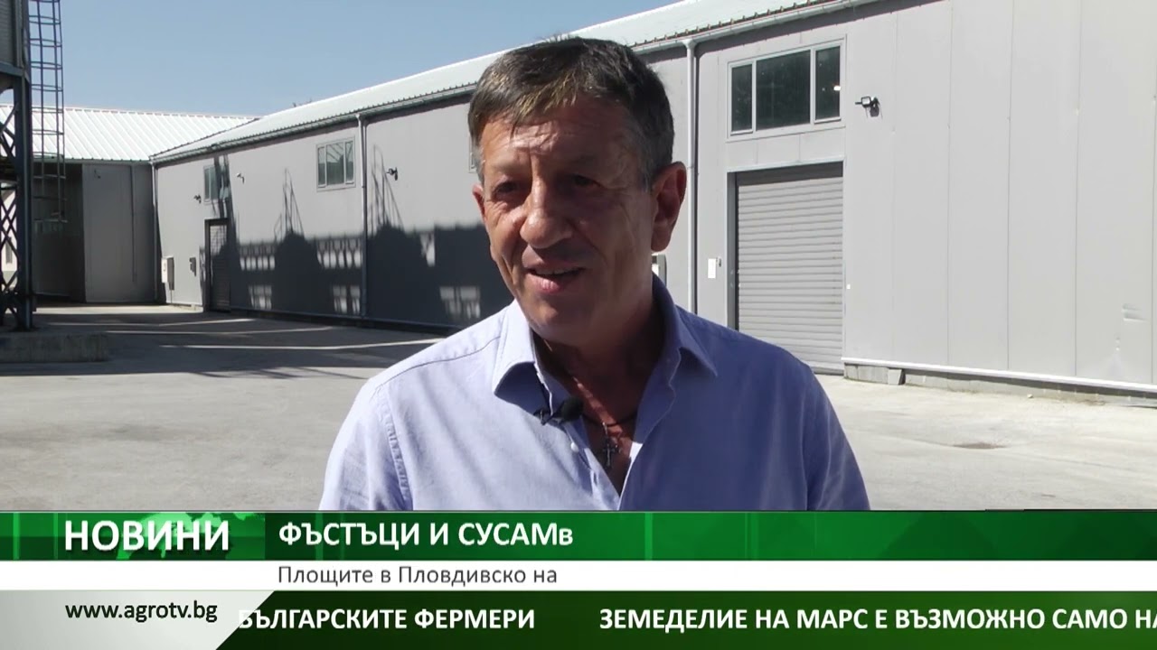 Фъстъците и сусамът са свободна ниша пред българските фермери