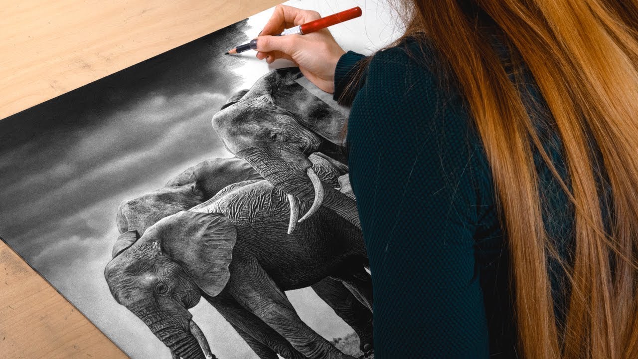 Drawing Elephants - The Circle of Life