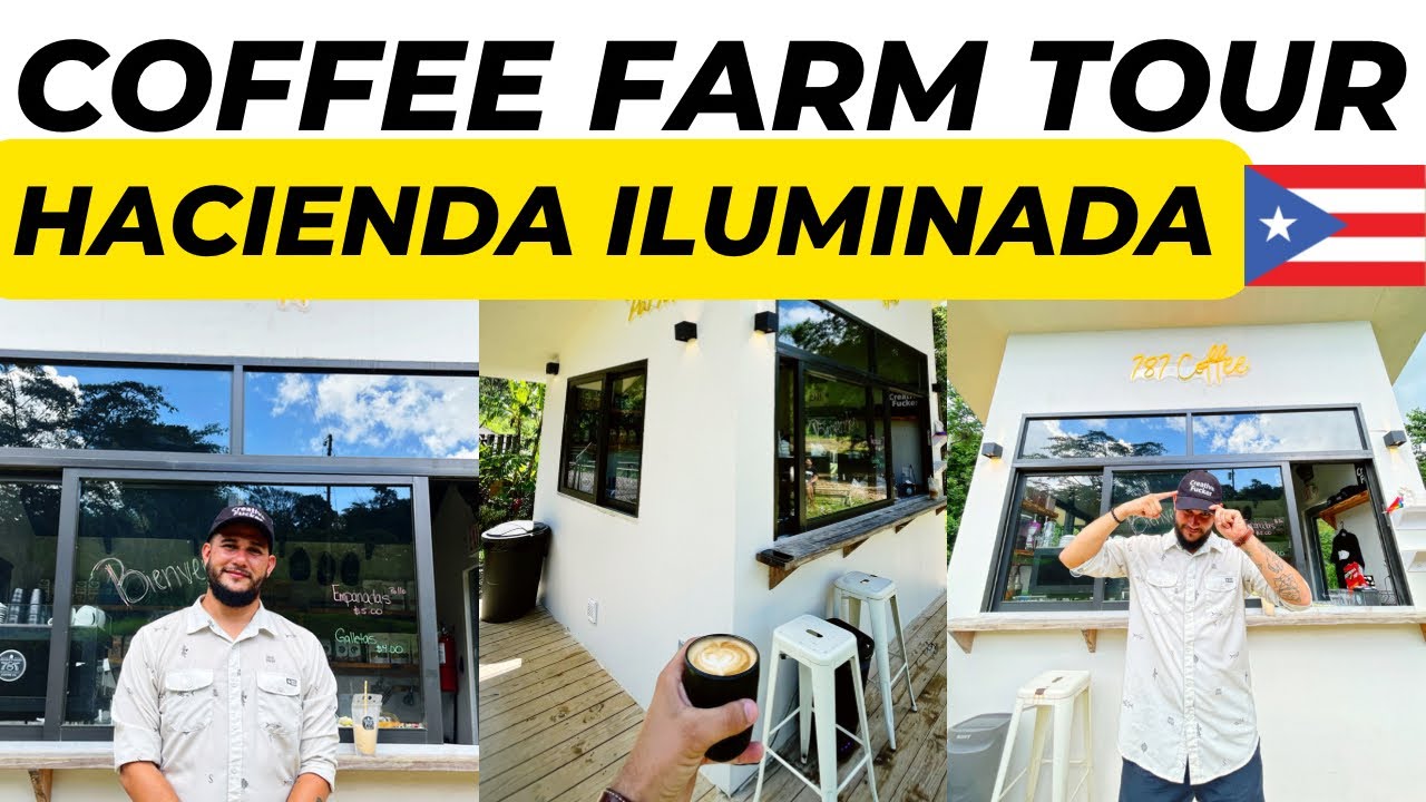 Exploring Puerto Rico's Coffee Farm PARADISE 🇵🇷 Puerto Rico Travel Guide 2024