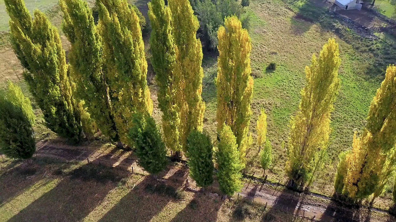 Vídeos de paisajes con Drone