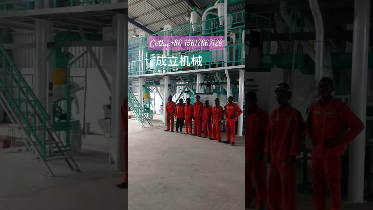 2025Angola is installing maize flour mill plant 