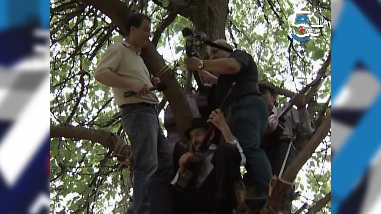 Svirci na dudu - veselje sa tamburašima u Sremu