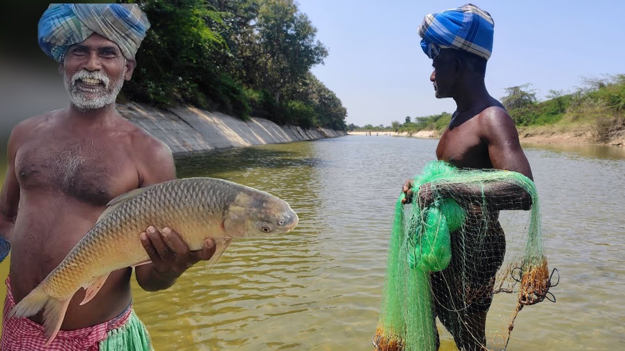 Unbelievable Cast Net Fishing ||  Best Net Fishing Video Tamil Nadu || Fishing Video