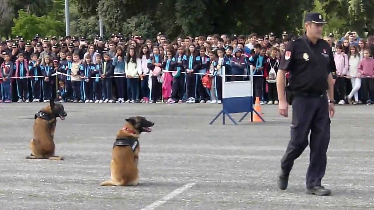 Jornada de puertas abiertas en la Escuela de Policía