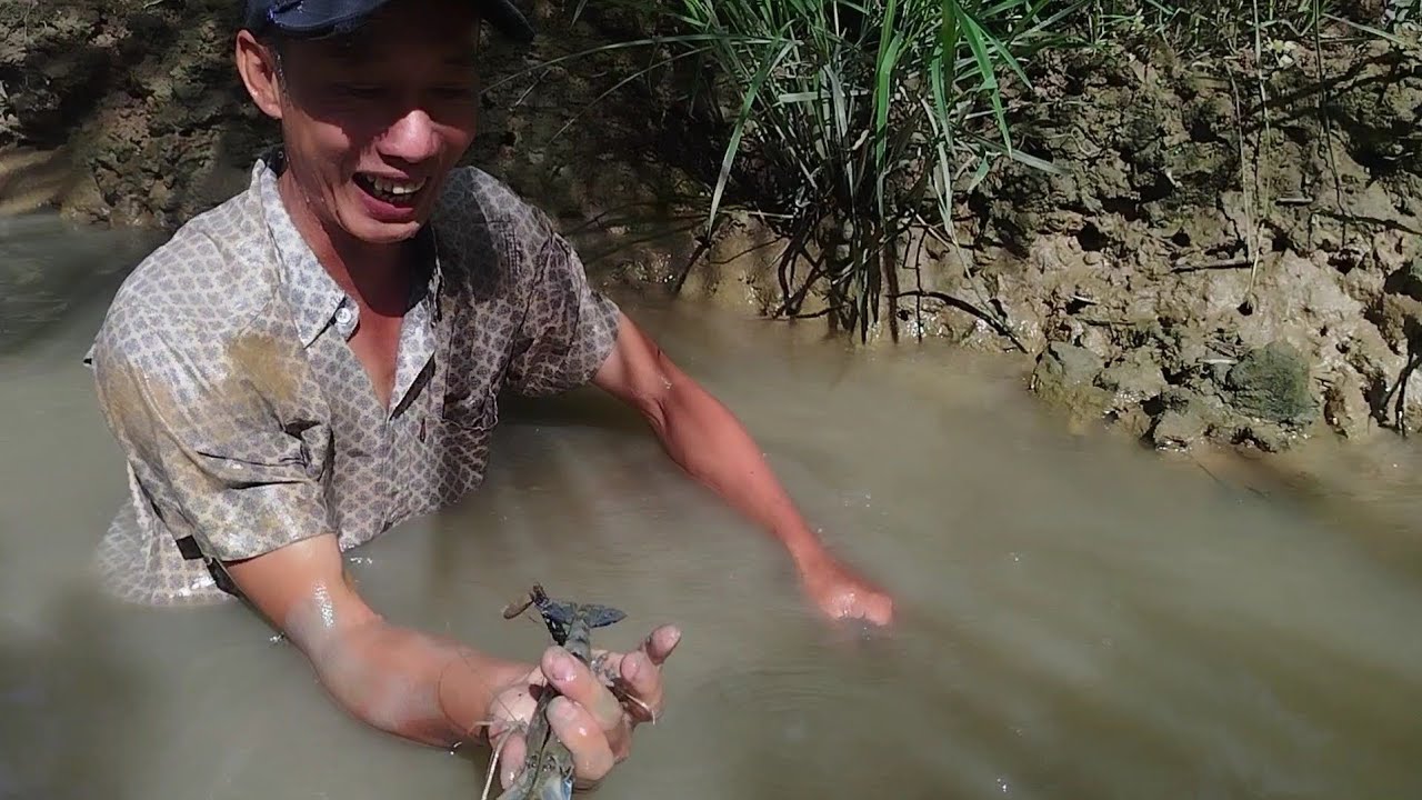 Anh em đi kiếm cá ốc về trang trải cuộc sống / TCMT83 /