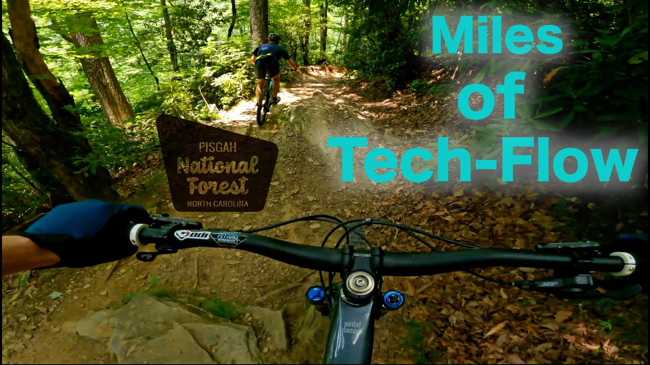 Avery Creek to Bennet Gap is INCREDIBLE | Pisgah National Forest MTB
