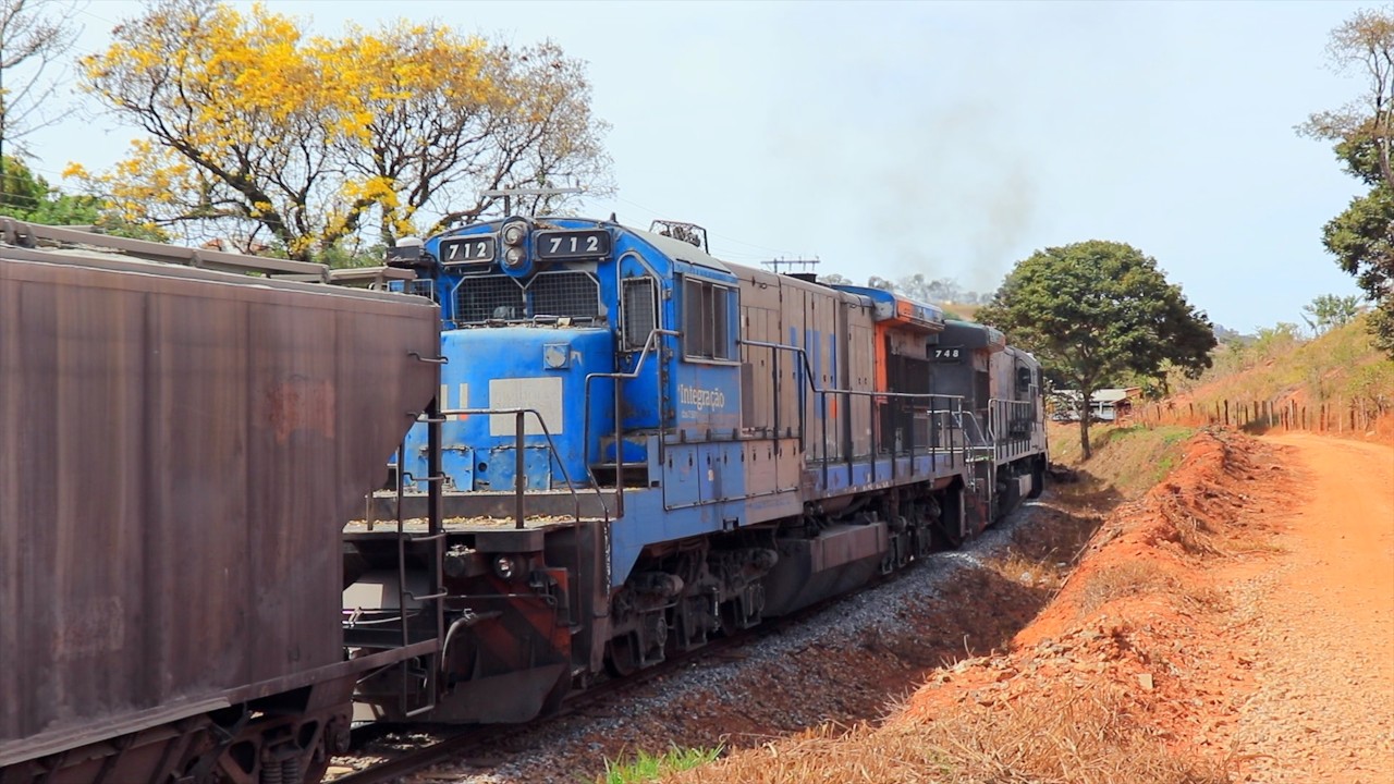Cenário Perfeito! Trem Pesado Cruza o Ipê Amarelo em Potência Máxima