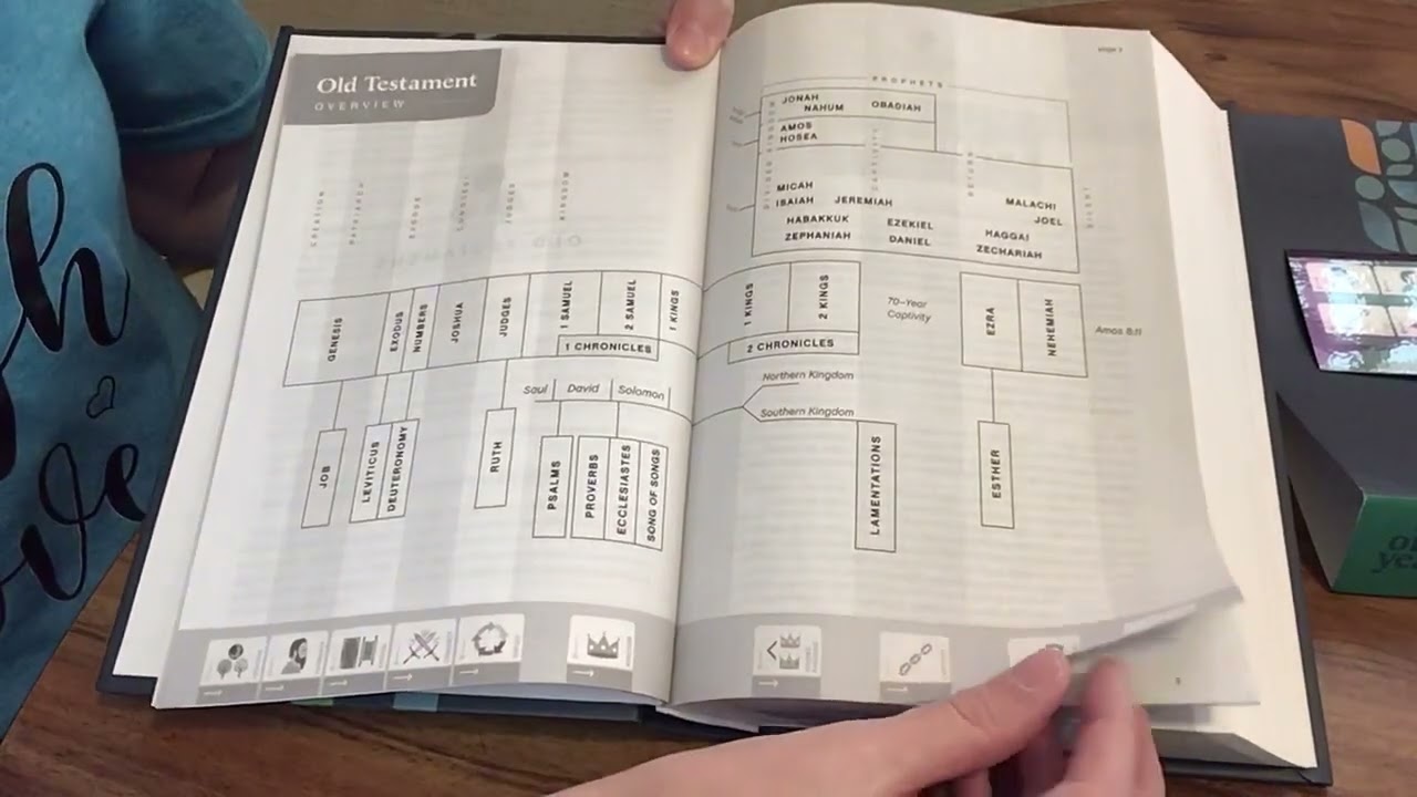 NLT One Year Chronological Study Bible