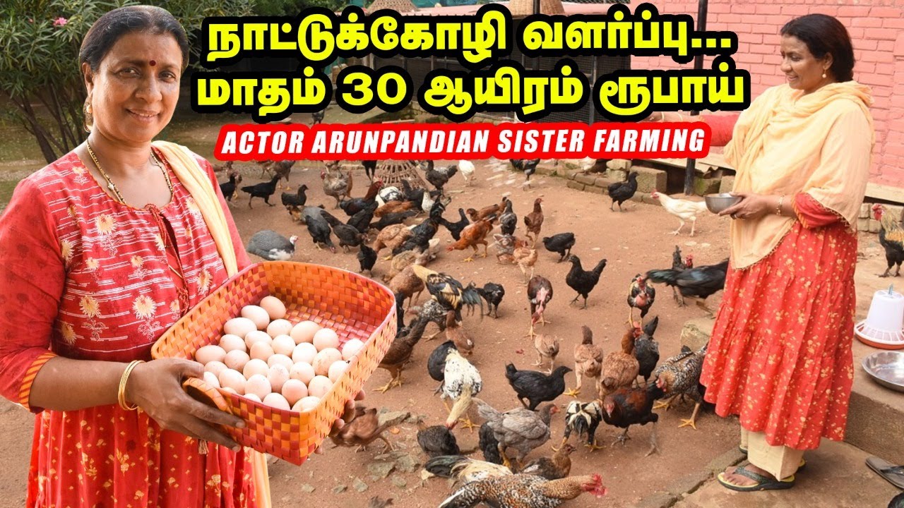 நாட்டுக்கோழியில் மாதம் 30,000 ரூபாய்..! Actor Arun Pandian Sisters Farming