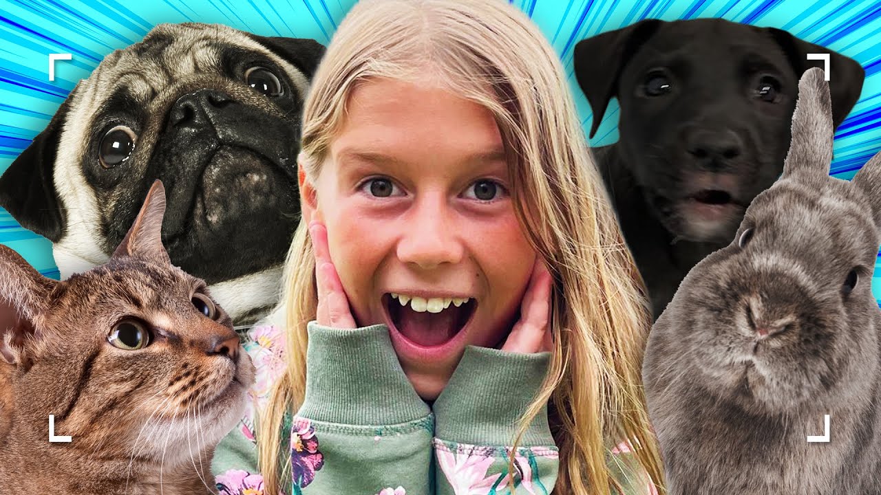 Alma passer mega nuttede dyr på dyreinternat