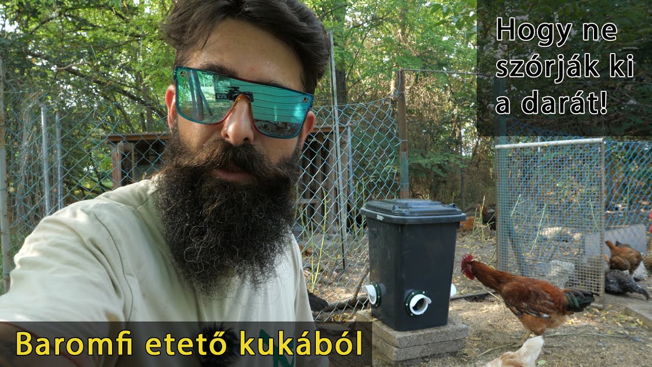 Baromfi tyúk csirke kacsa etető önetető, amiből nem szórják ki a darát