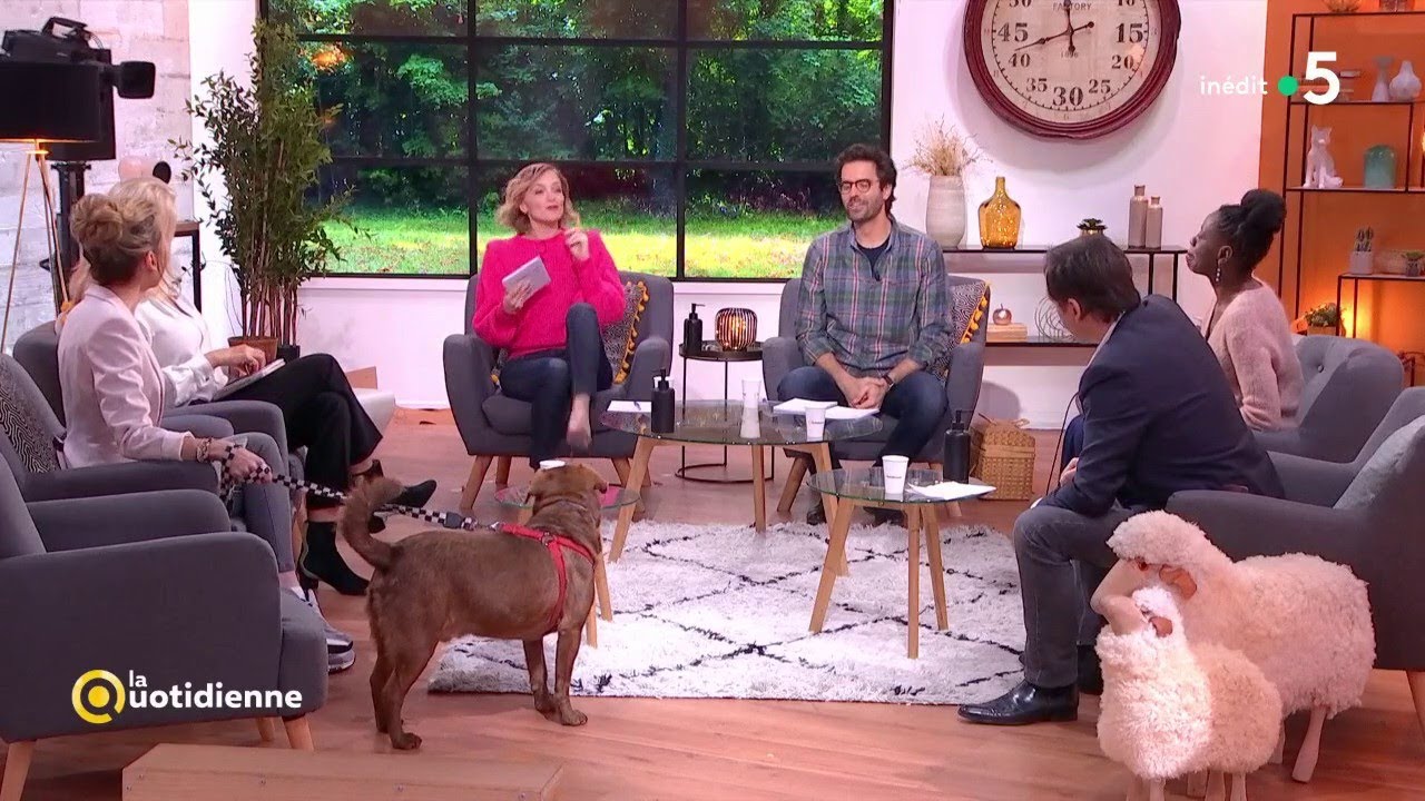 Le chien : bon ou mauvais pour le couple ? - La Quotidienne