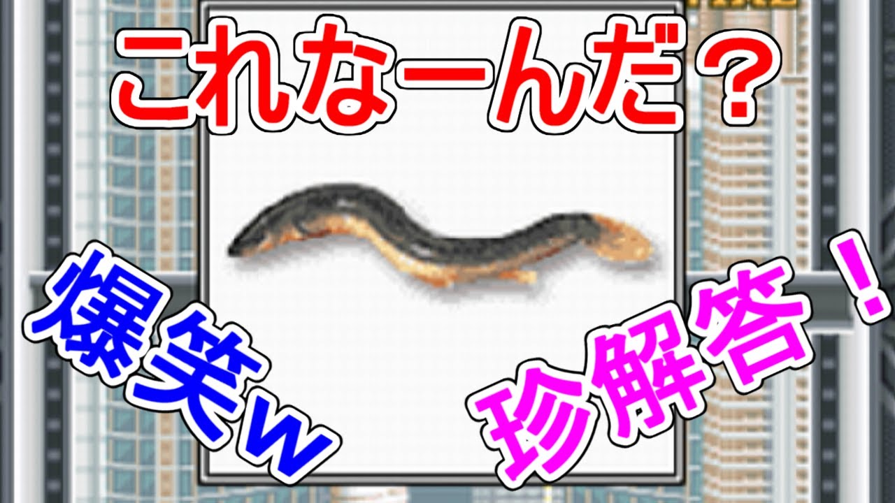 【実況】珍解答連発で大爆笑しました！【超ネプリーグDS♯4】
