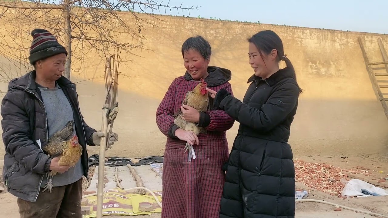 临近新年，老爸拿耙子抓鸡出洋相，老妈一句朴实的话逗得全家大笑 #母鸡补身体 #我的农村真实生活 #单亲妈妈的生活 #出洋相就是为了博大家一笑 #农村趣事