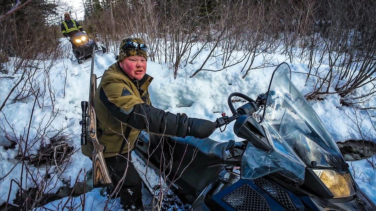 Last Day Moose Hunt. Time is Running Out...