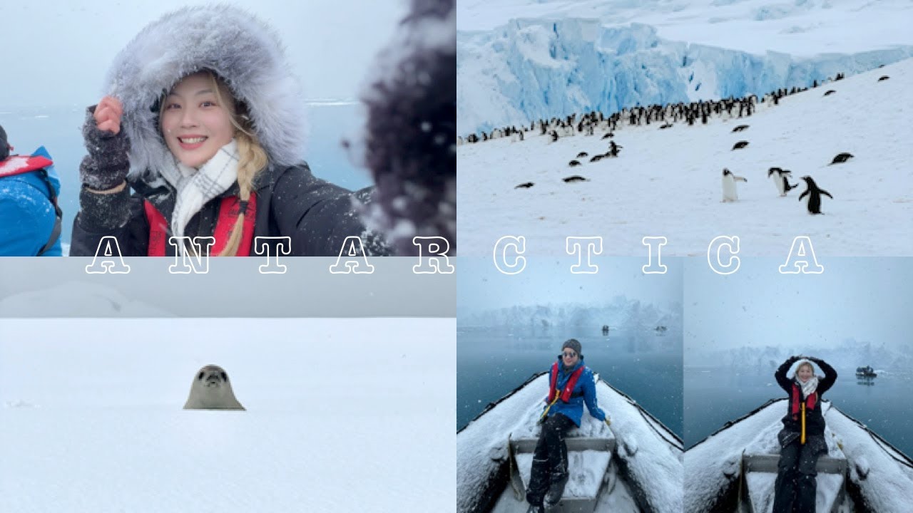 My 10-day Cruise Trip to Antarctica: zodiac cruise, scenery and wild life | Antarctica travel vlog