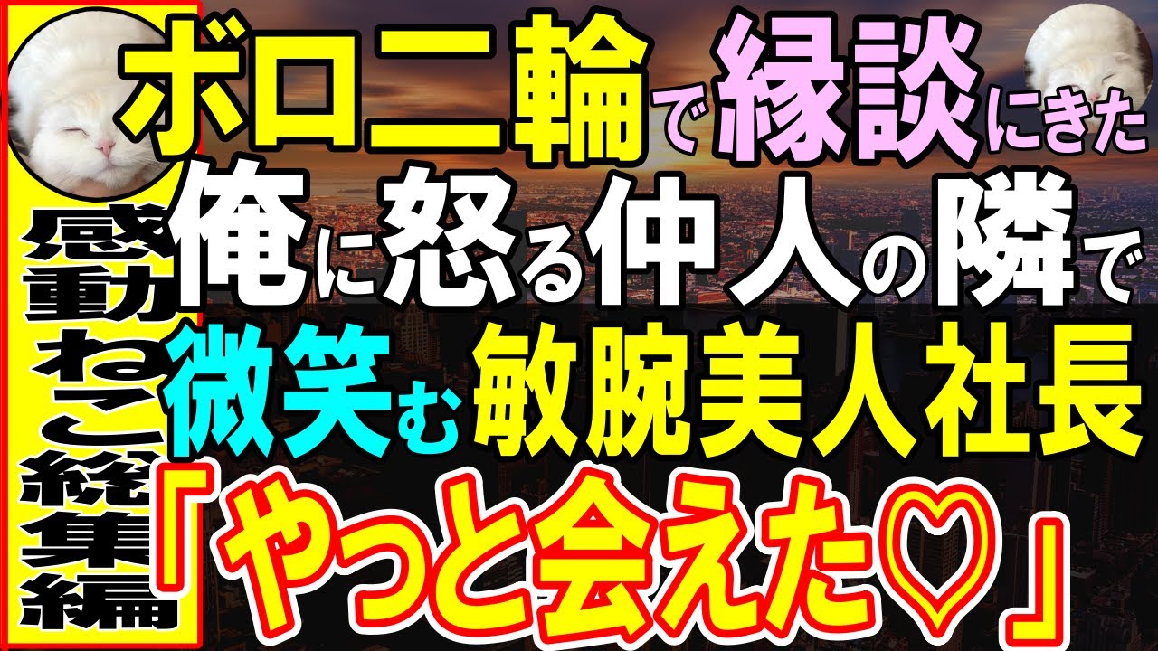 【感動する話】正体を隠し冴えない人を演じる俺。破談させるためにボロボロの二輪でお見合いに遅刻→お見合い相手が嬉しそうに「そのバイク…ようやく会えた」実は彼女の正体は…【いい話・泣ける話・朗読】