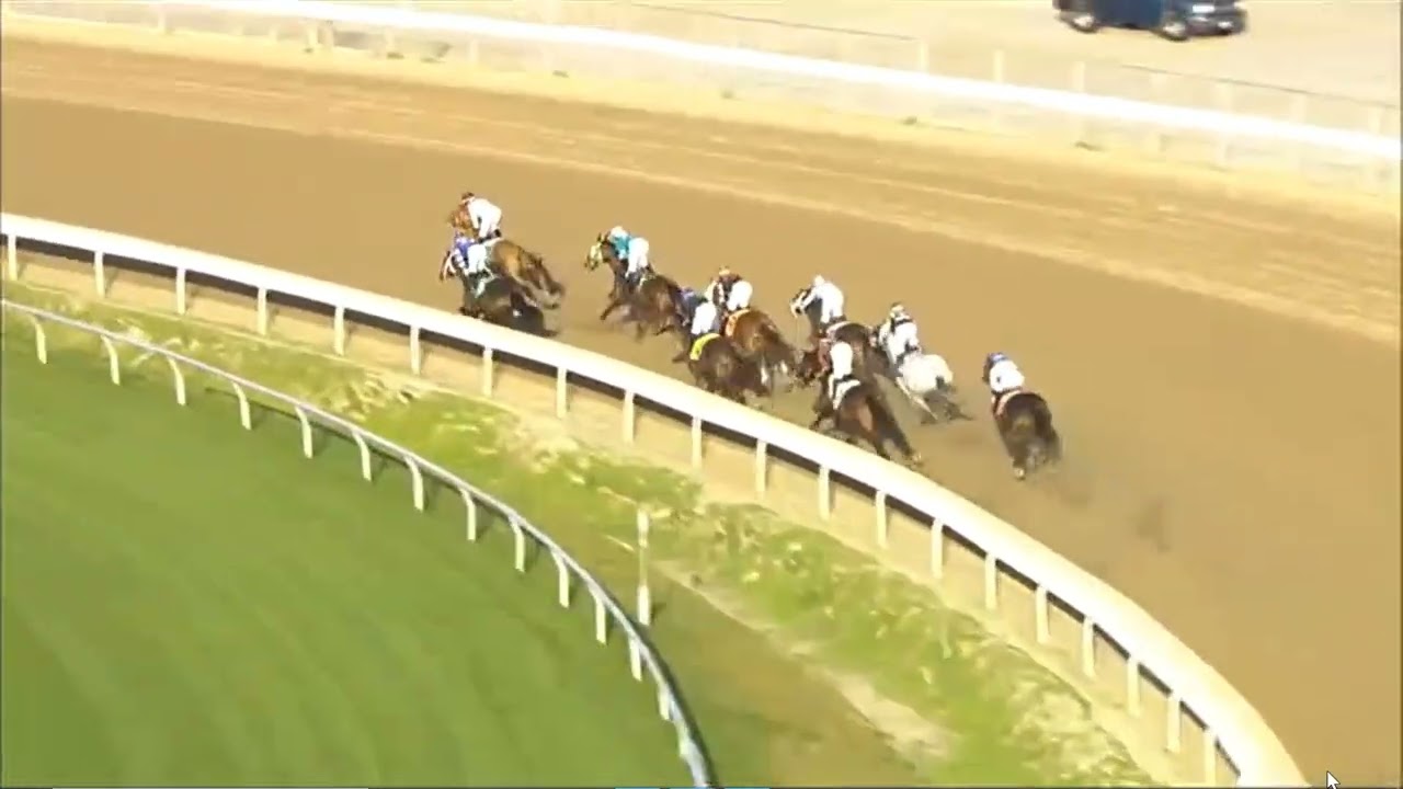 R8 FAIR GROUNDS USA 23 JAN 2026