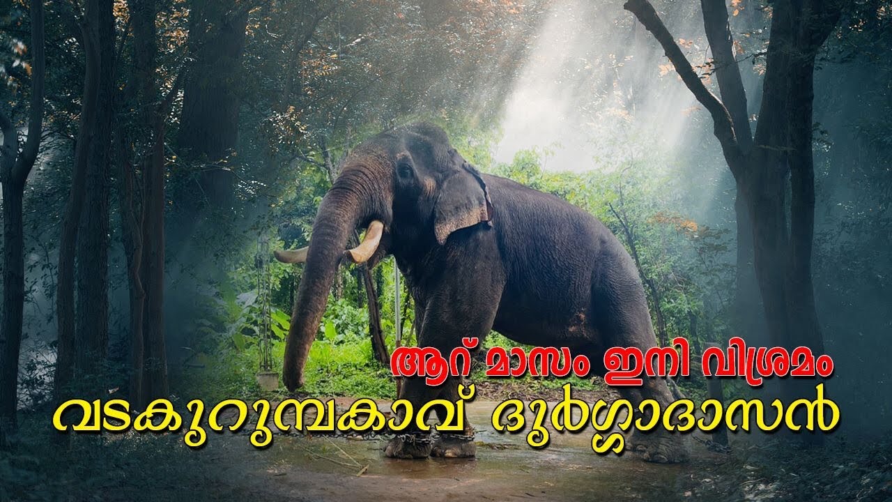 ചട്ടകാരനെ അടുപ്പിക്കാതെ ദുർഗ്ഗാദാസന്റെ നീരുകാലം|vadakurumbakavu durgadasan|sarisway