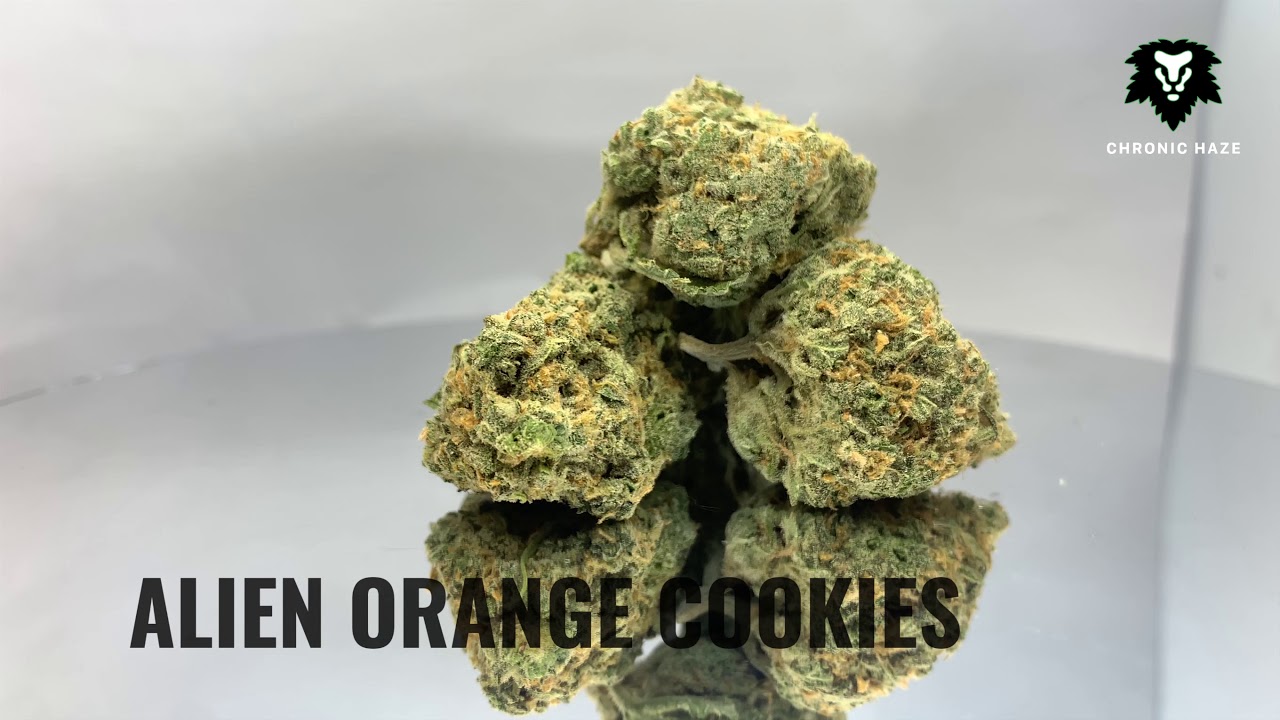 Chronic Haze - Alien Orange Cookies