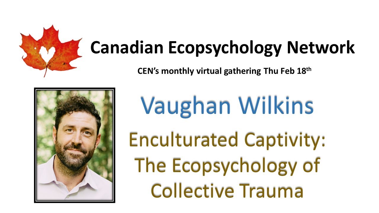 Vaughan Wilkins - Enculturated Captivity