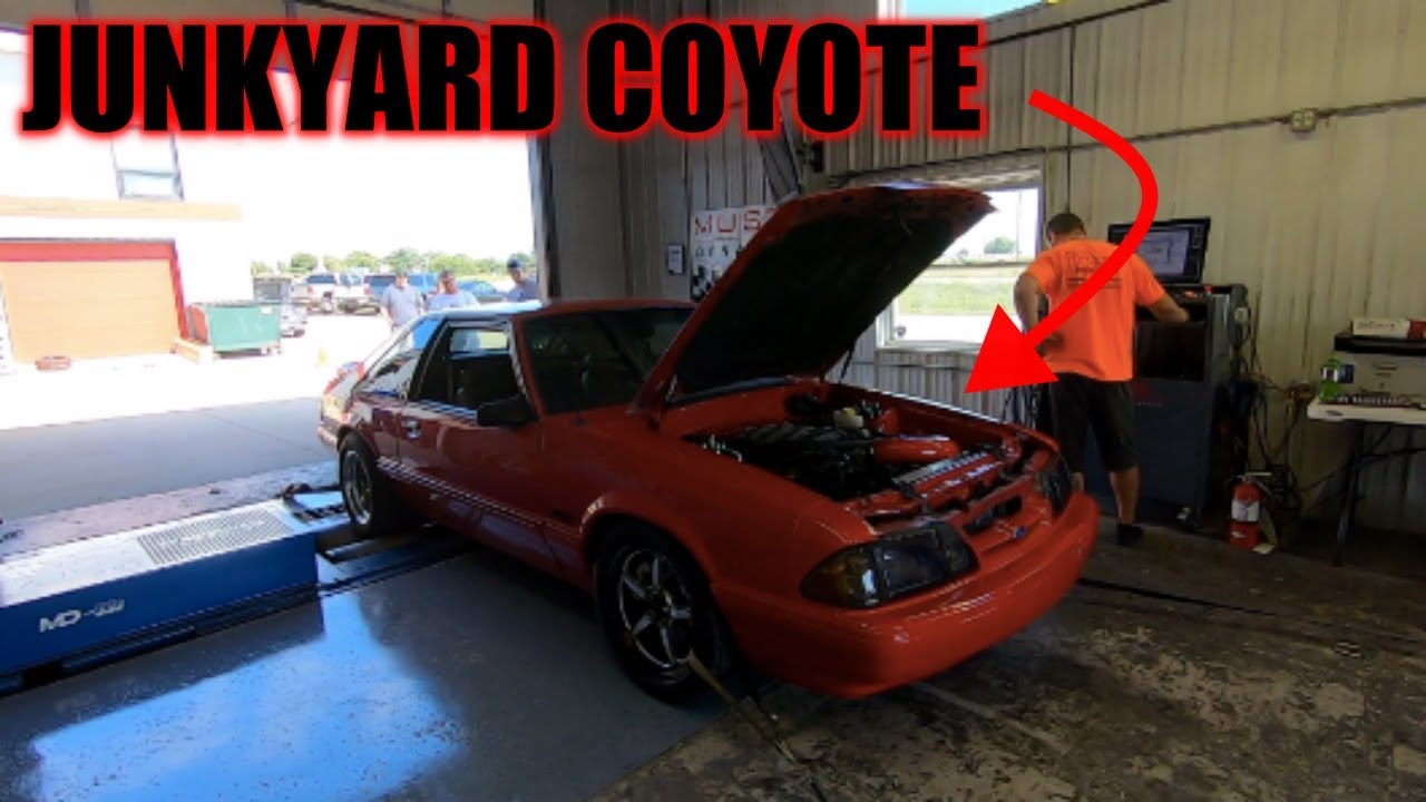 How much power does a JUNKYARD coyote engine make? *KILLER NUMBERS*