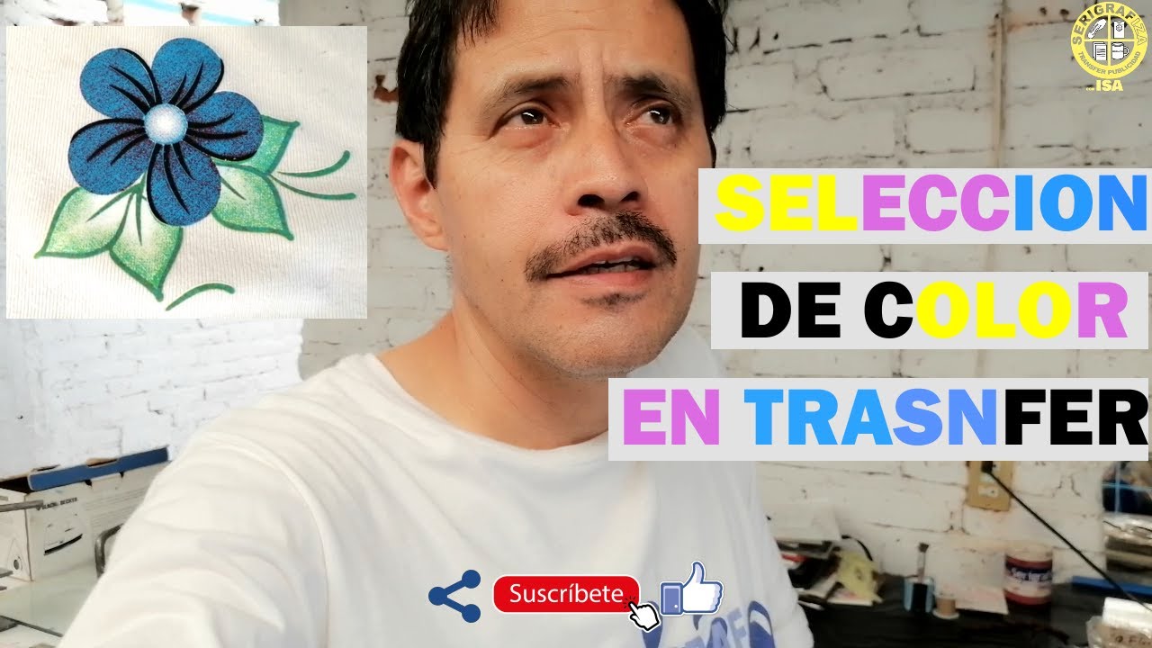 SELECCION DE COLOR EN TRANSFER 1*SERIGRAFIZA con ISA