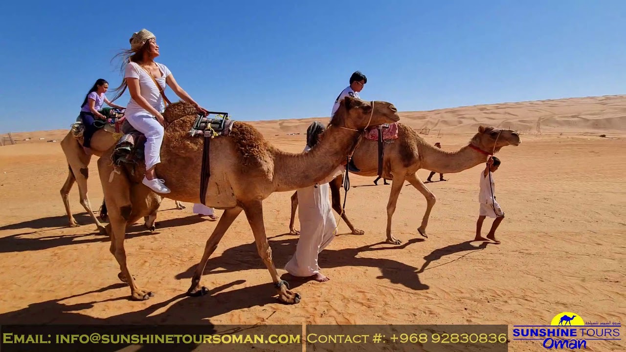 Camel Ride 🐫 in the Beautiful Desert of Oman / Sunshine Tours Oman 🇴🇲