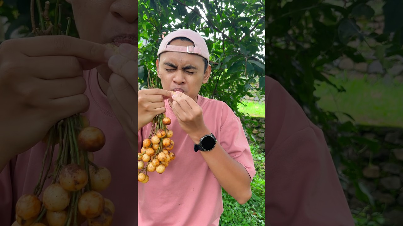 Makan Buah Bulet Kecut 🍒