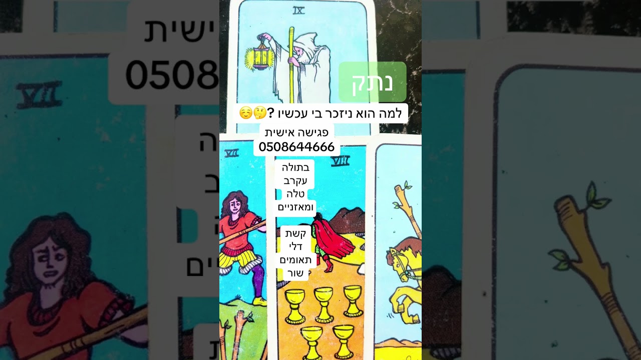 למה הוא ניזכר בך עכשיו 🤔🫶🏼ורד פריסה אישית 0508644666♥️