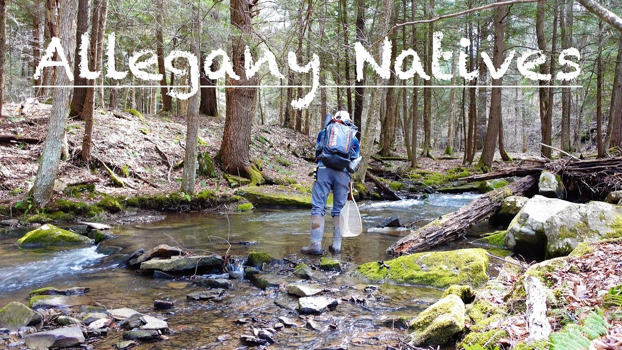 Allegany Natives | Fishing in Allegany State Park