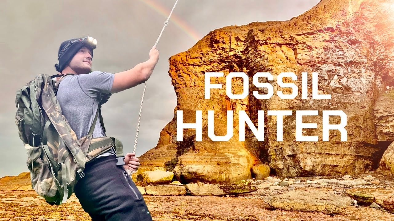 Beach QUEST — это грандиозная 6-часовая охота за окаменелостями! | Fossil Hunter