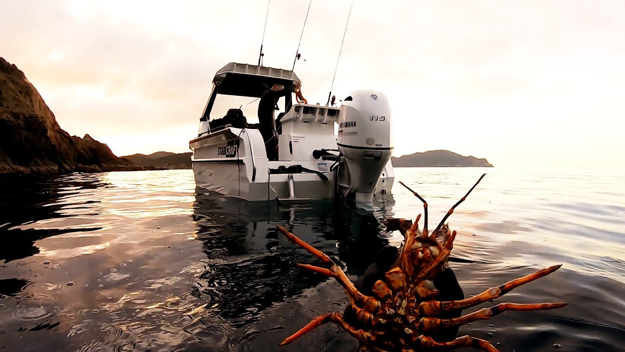 Cray hunt for some dinner ! Hard earned Crays ! stabicraft 1850