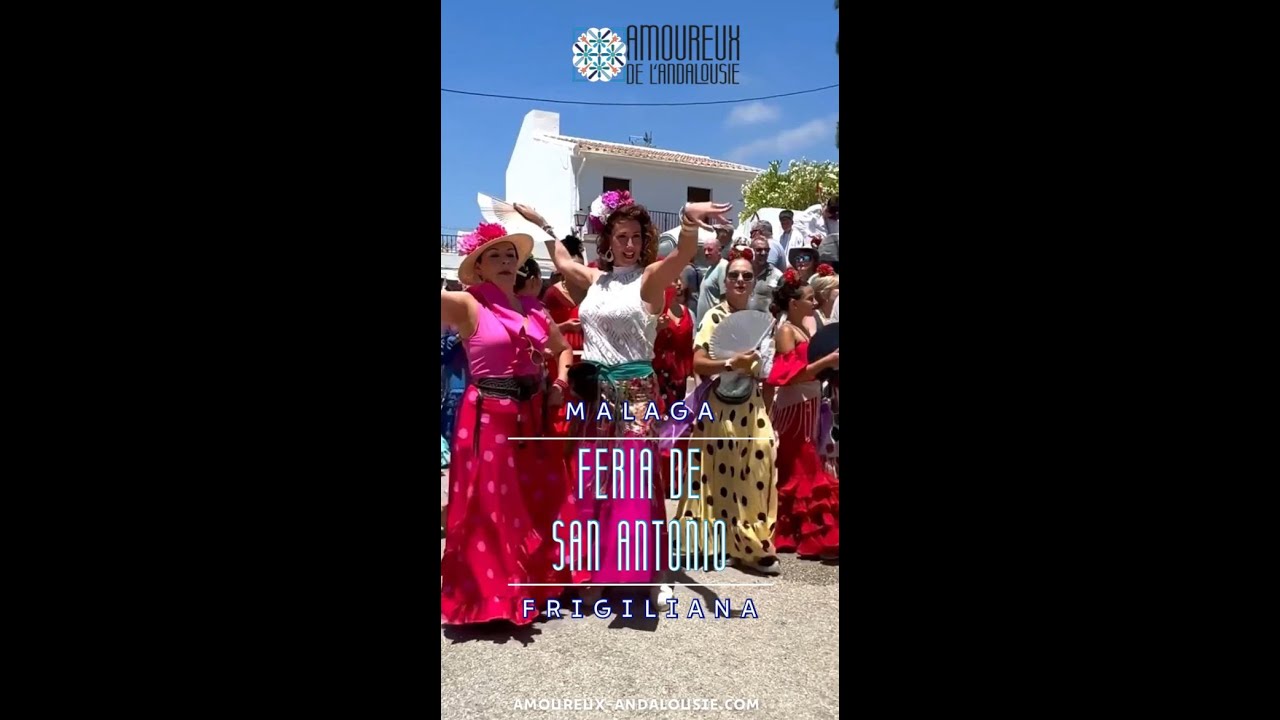 Romería de San Antonio de Padua - Frigiliana - Feria