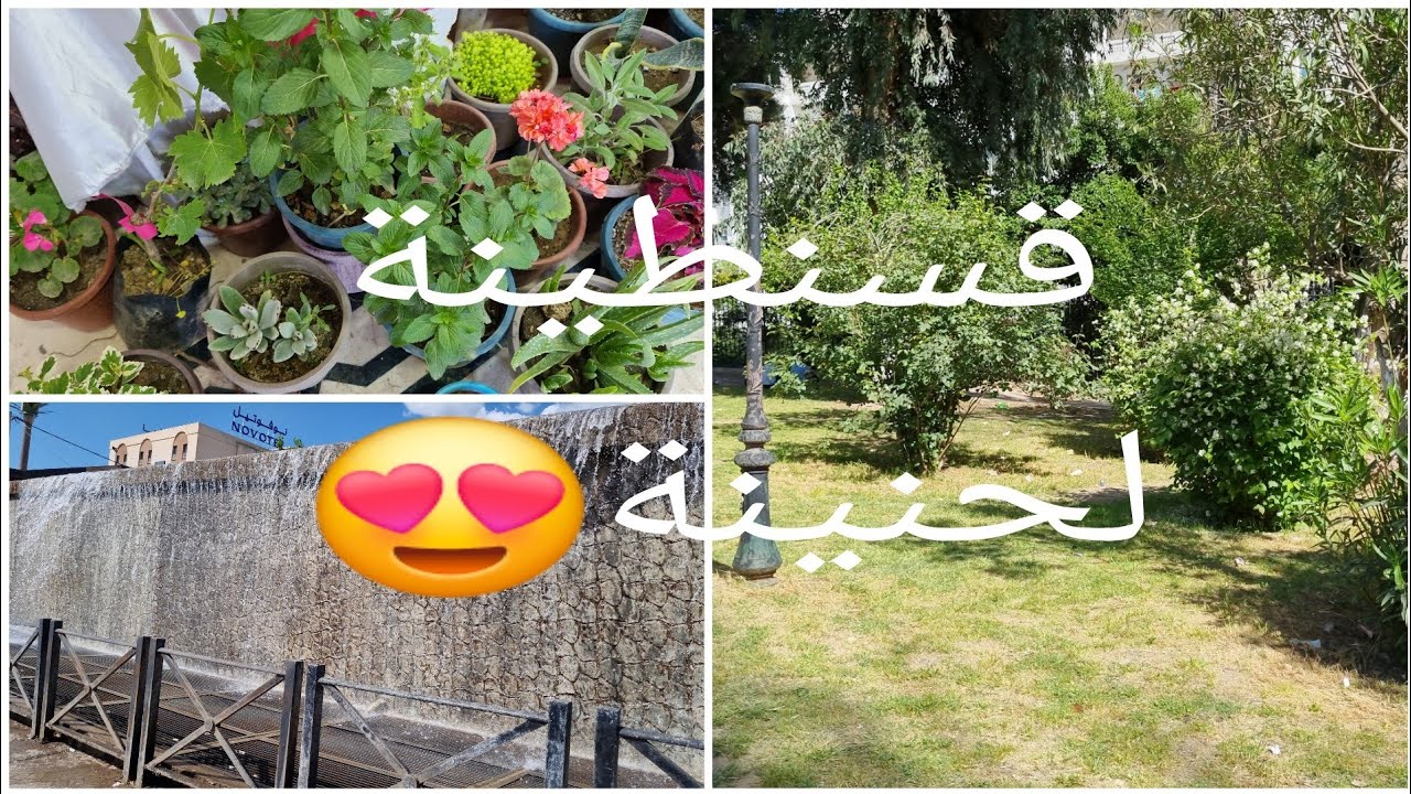 #جولة في #قسنطينة 😍❤️ذكريات ولا اروع ❤️