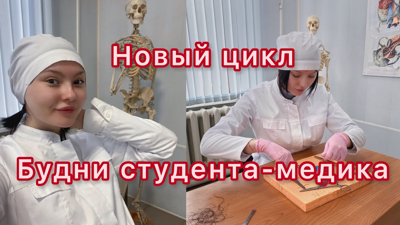 Будни студента-медика/новый цикл