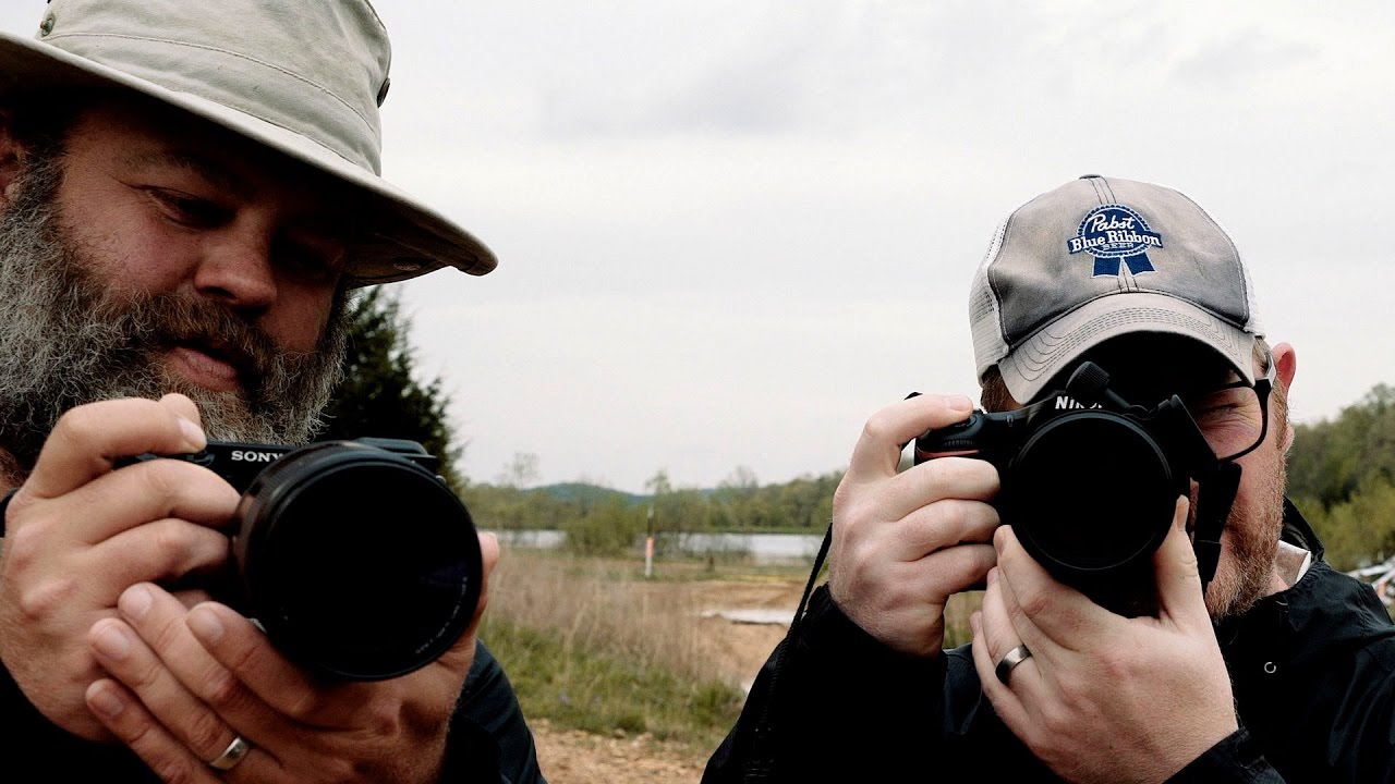 D500 vs A6500 for Sports and Action