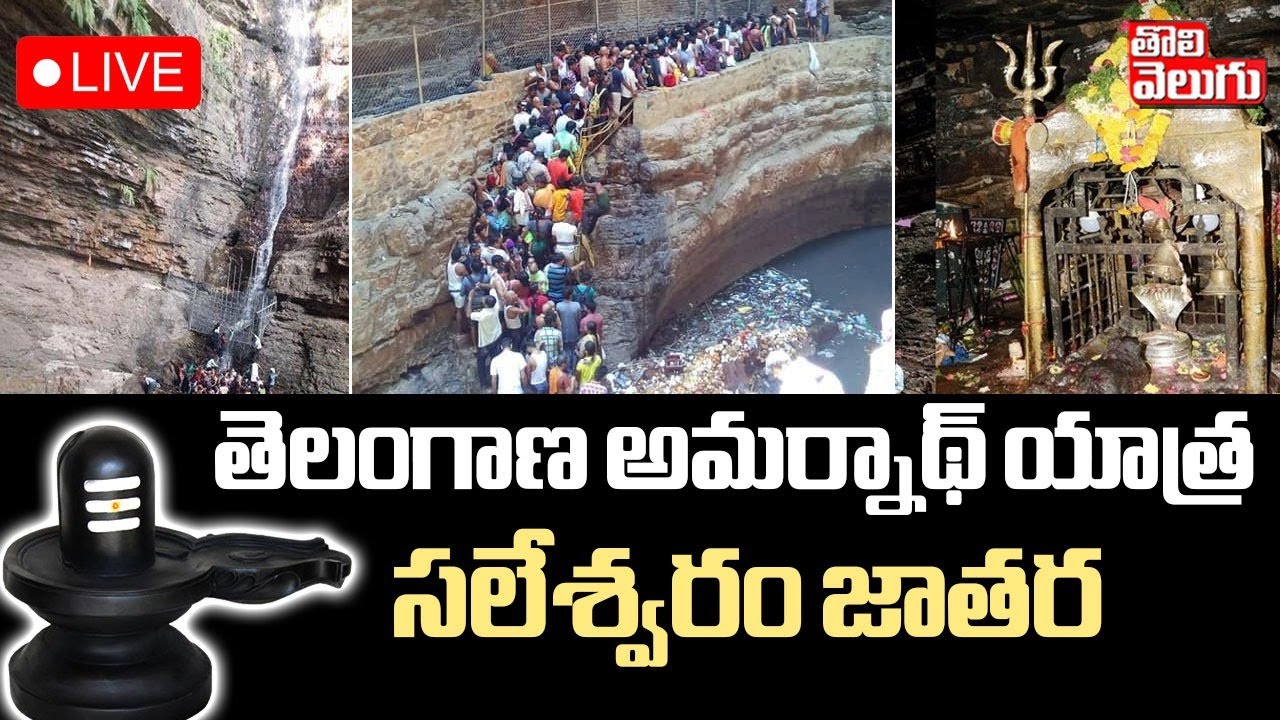 Saleshwaram Lingamaiah Swamy Jathara LIVE🔴:తెలంగాణ అమర్నాథ్ యాత్ర .. సలేశ్వరం జాతర | Tolivelugu