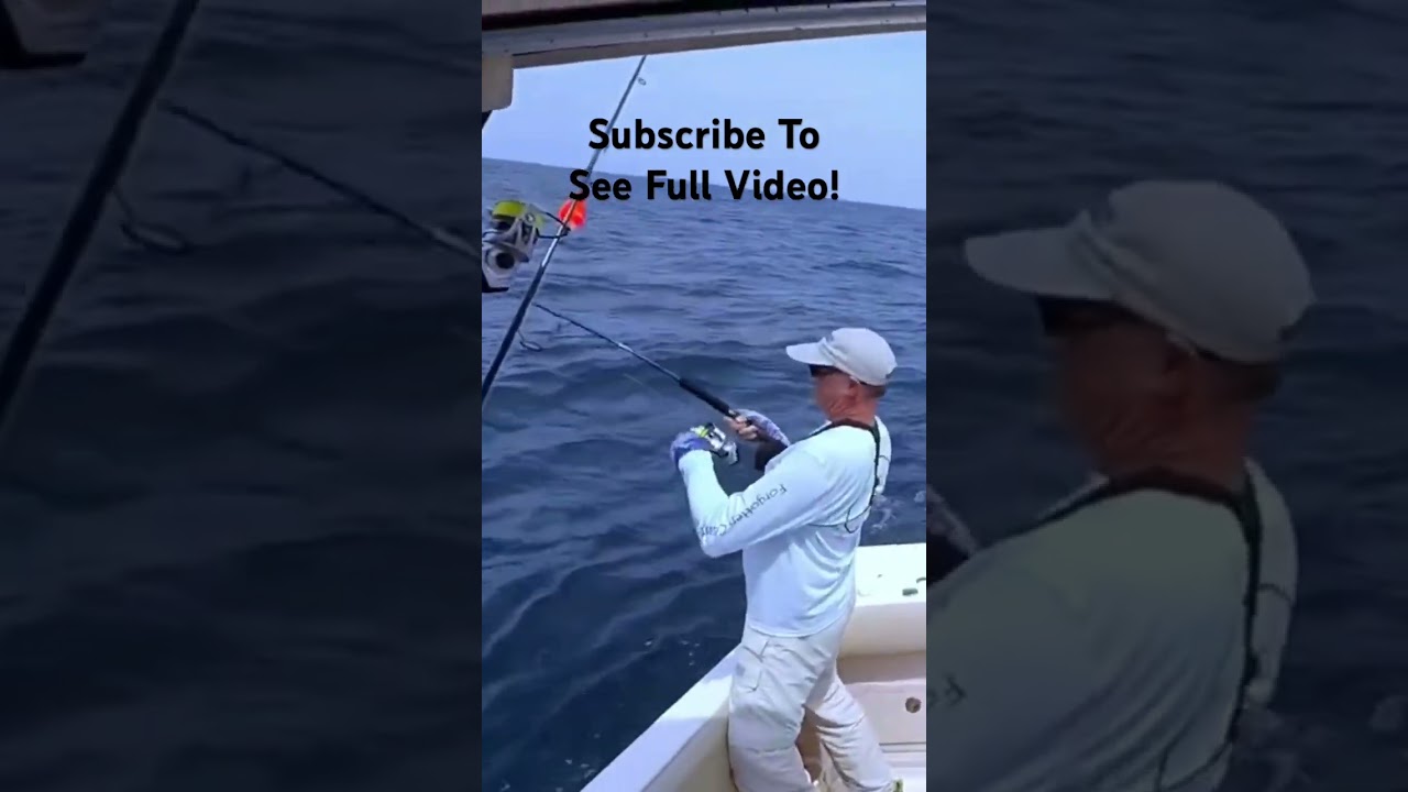 I Caught a DOLPHIN! #shorts #saltwaterfishing #fishing #dolphin
