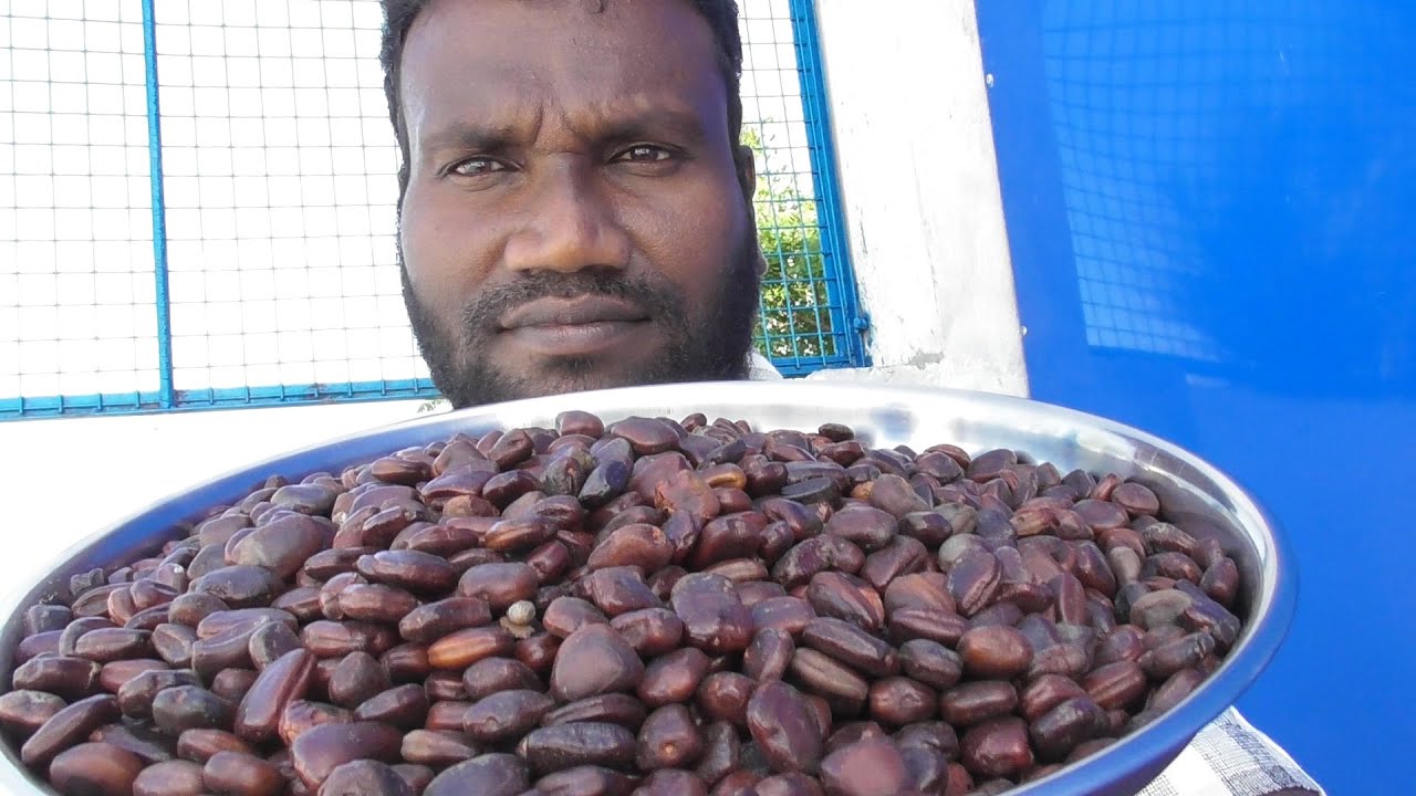 100% RELAX  tamarind seeds  RELAX sounds ASMR sleep😴😴😴😴