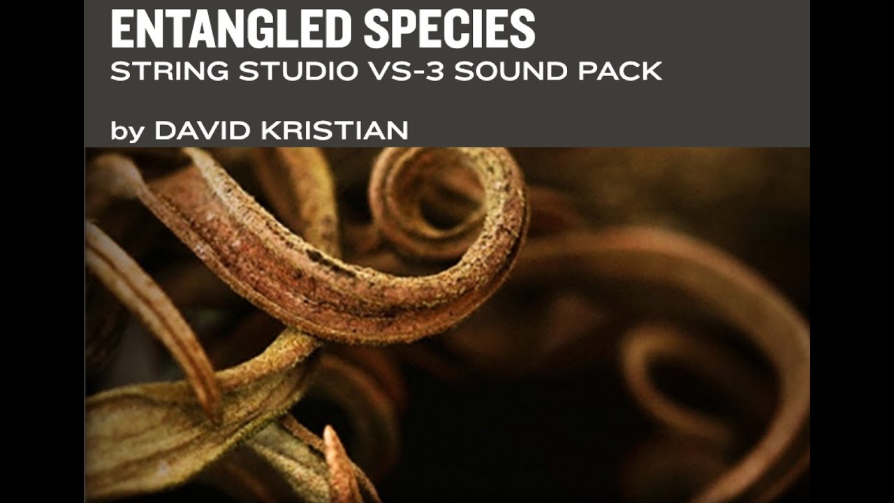 Entangled Species - AAS - Applied Acoustic System - Presets Walkthrough Demo | David Kristian