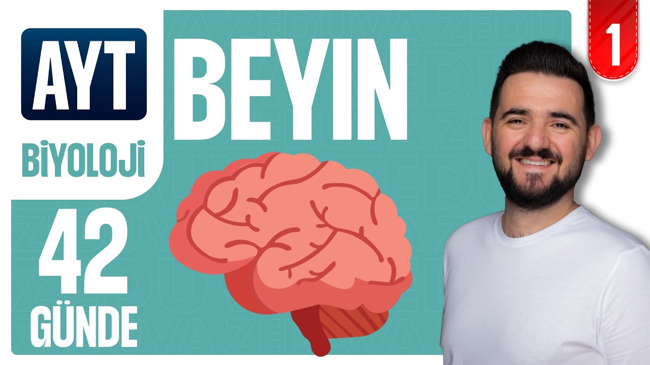 Beyin  | 42 G&Uuml;NDE AYRINTILI AYT BİYOLOJİ KAMPI 2026-2027 | 1.G&Uuml;N